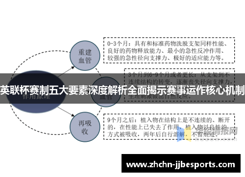 英联杯赛制五大要素深度解析全面揭示赛事运作核心机制