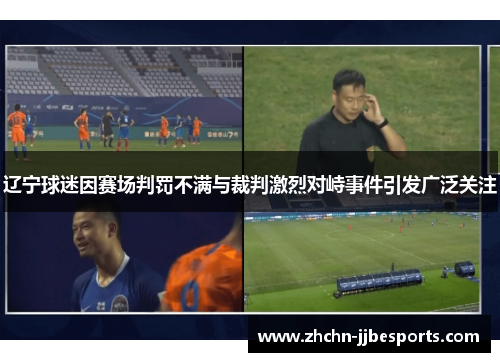辽宁球迷因赛场判罚不满与裁判激烈对峙事件引发广泛关注