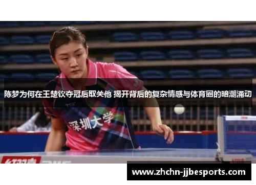 陈梦为何在王楚钦夺冠后取关他 揭开背后的复杂情感与体育圈的暗潮涌动