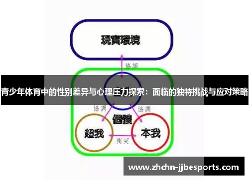 青少年体育中的性别差异与心理压力探索：面临的独特挑战与应对策略